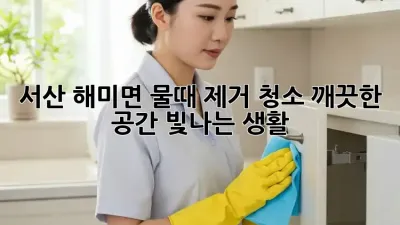 서산 해미면 물때 제거 청소: 깨끗한 공간, 빛나는 생활!